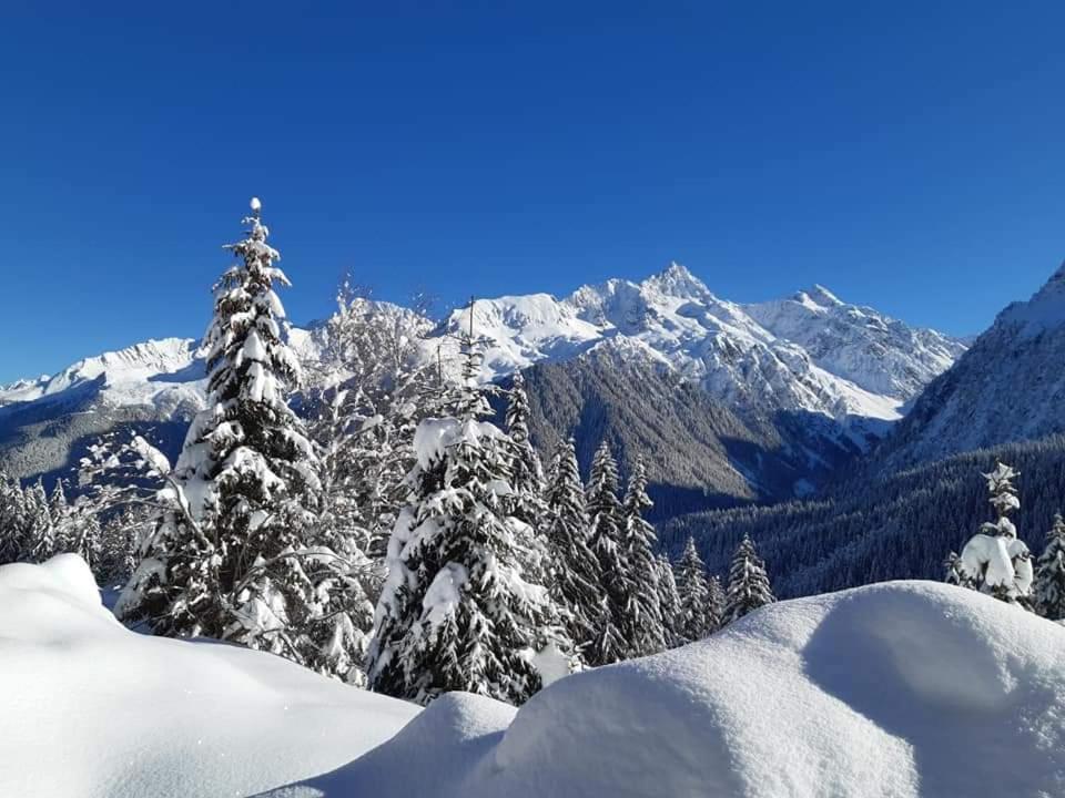 Superbe Studio Aux 7 Laux La Ferrière Esterno foto