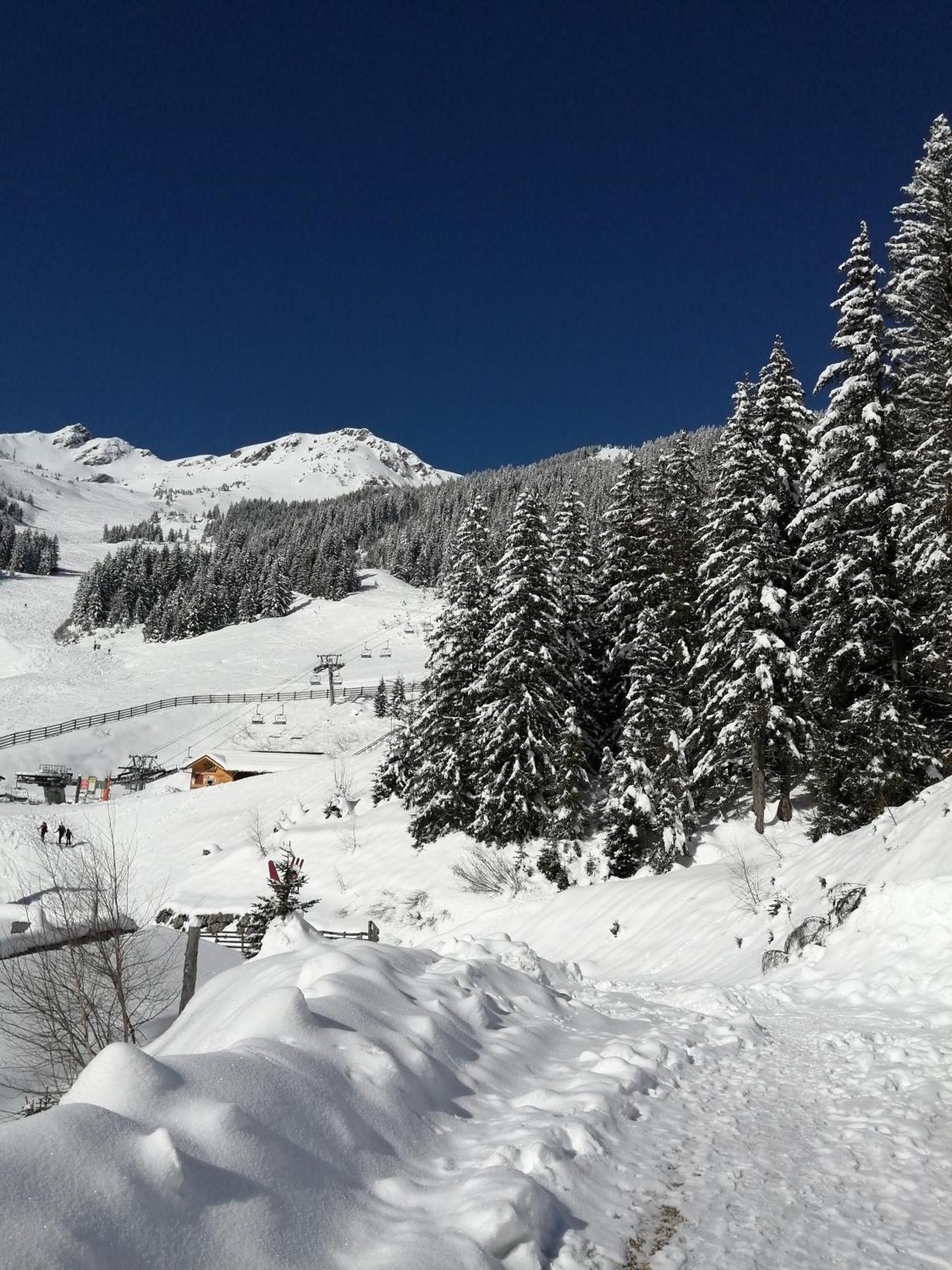 Superbe Studio Aux 7 Laux La Ferrière Esterno foto