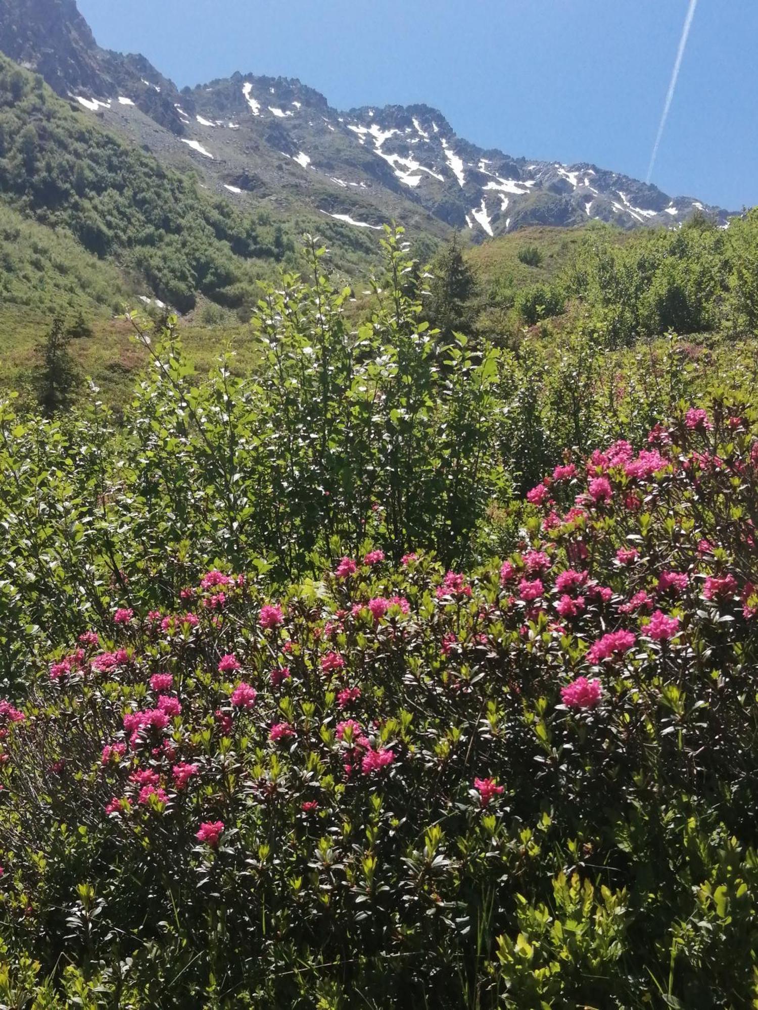 Superbe Studio Aux 7 Laux La Ferrière Esterno foto