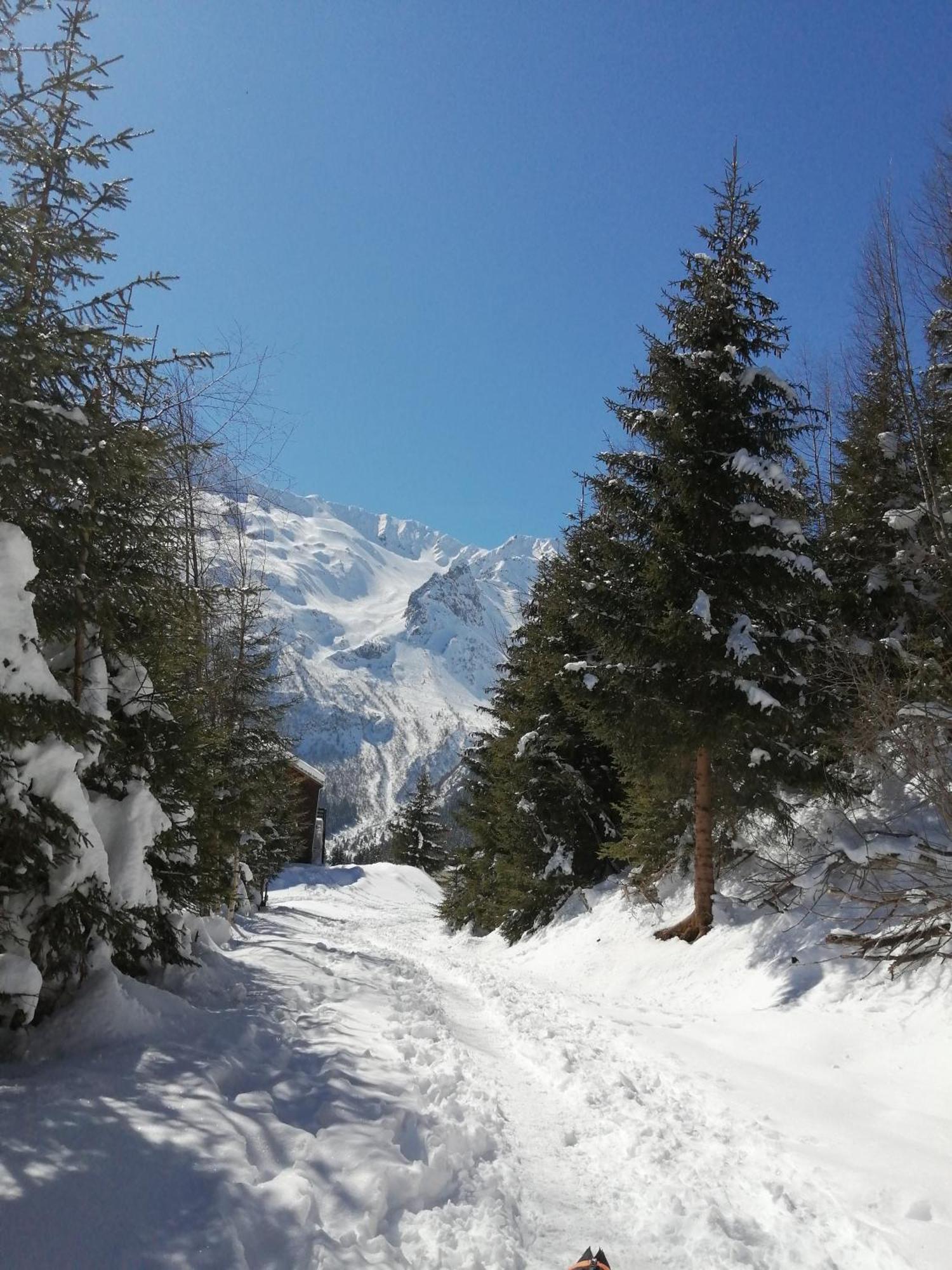 Superbe Studio Aux 7 Laux La Ferrière Esterno foto